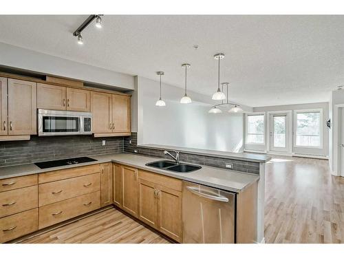 309-3101 34 Avenue Nw, Calgary, AB - Indoor Photo Showing Kitchen With Double Sink