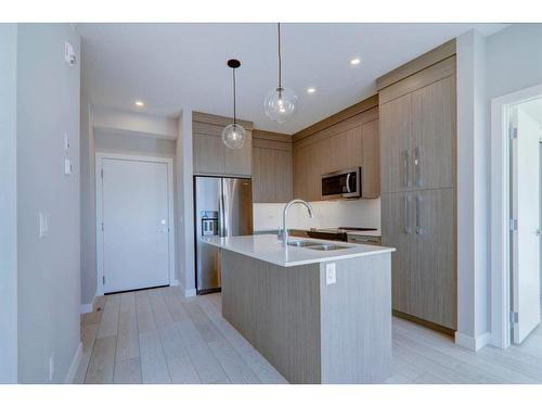 2419-395 Skyview Parkway Ne, Calgary, AB - Indoor Photo Showing Kitchen With Double Sink With Upgraded Kitchen