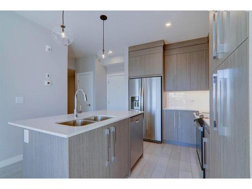 2419-395 Skyview Parkway Ne, Calgary, AB - Indoor Photo Showing Kitchen With Double Sink With Upgraded Kitchen