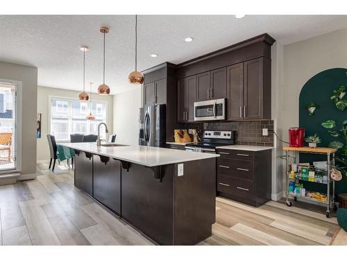 295 Silverado Plains Park Sw, Calgary, AB - Indoor Photo Showing Kitchen With Stainless Steel Kitchen With Upgraded Kitchen