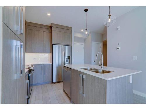 2410-395 Skyview Parkway Ne, Calgary, AB - Indoor Photo Showing Kitchen With Double Sink With Upgraded Kitchen