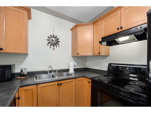 204-369 Rocky Vista Park Nw, Calgary, AB - Indoor Photo Showing Kitchen With Double Sink