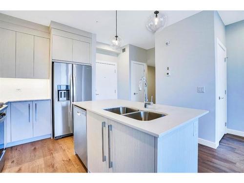 1306-395 Skyview Parkway Ne, Calgary, AB - Indoor Photo Showing Kitchen With Double Sink With Upgraded Kitchen