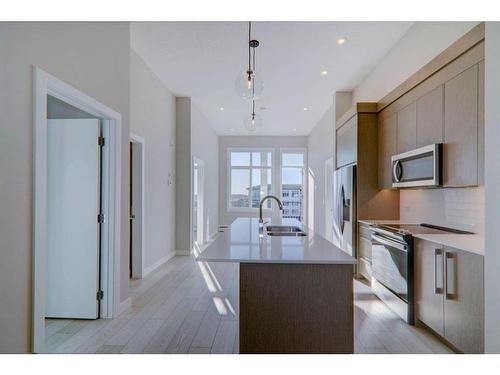 2508-395 Skyview Parkway Ne, Calgary, AB - Indoor Photo Showing Kitchen With Double Sink With Upgraded Kitchen