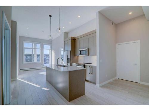 2508-395 Skyview Parkway Ne, Calgary, AB - Indoor Photo Showing Kitchen With Upgraded Kitchen