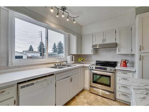 297 Queen Tamara Way Se, Calgary, AB - Indoor Photo Showing Kitchen With Double Sink