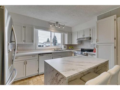 297 Queen Tamara Way Se, Calgary, AB - Indoor Photo Showing Kitchen With Double Sink