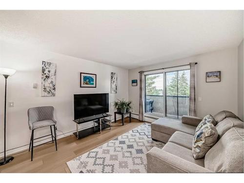 302-1712 38 Street Se, Calgary, AB - Indoor Photo Showing Living Room