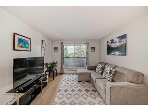 302-1712 38 Street Se, Calgary, AB - Indoor Photo Showing Living Room