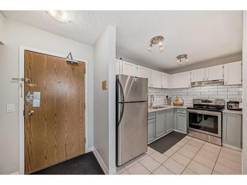 302-1712 38 Street Se, Calgary, AB - Indoor Photo Showing Kitchen