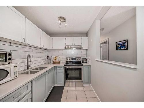 302-1712 38 Street Se, Calgary, AB - Indoor Photo Showing Kitchen With Double Sink With Upgraded Kitchen