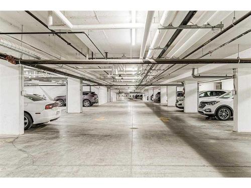 113-4150 Seton Drive Se, Calgary, AB - Indoor Photo Showing Garage