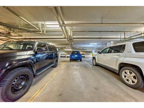 110-16 Auburn Bay Link Se, Calgary, AB - Indoor Photo Showing Garage