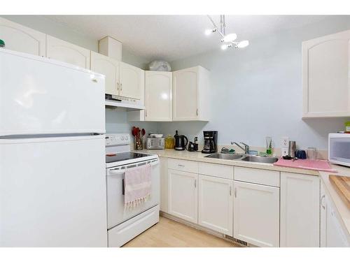 183 Deerfield Drive Se, Calgary, AB - Indoor Photo Showing Kitchen With Double Sink