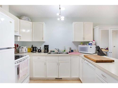 183 Deerfield Drive Se, Calgary, AB - Indoor Photo Showing Kitchen With Double Sink