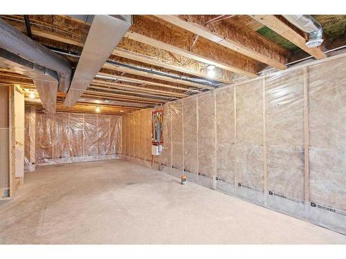 150 Cranford Common Se, Calgary, AB - Indoor Photo Showing Basement