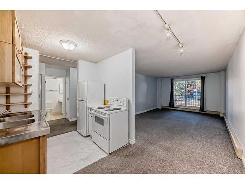 204-3420 50 Street Nw, Calgary, AB - Indoor Photo Showing Kitchen With Double Sink