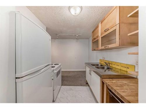 204-3420 50 Street Nw, Calgary, AB - Indoor Photo Showing Kitchen With Double Sink