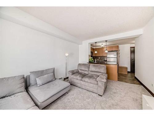 311-920 68 Avenue Sw, Calgary, AB - Indoor Photo Showing Living Room