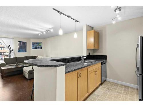 307-2440 34 Avenue Sw, Calgary, AB - Indoor Photo Showing Kitchen With Double Sink