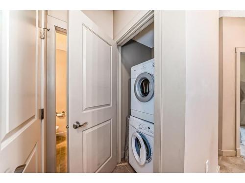 6314-11811 Lake Fraser Drive Se, Calgary, AB - Indoor Photo Showing Laundry Room