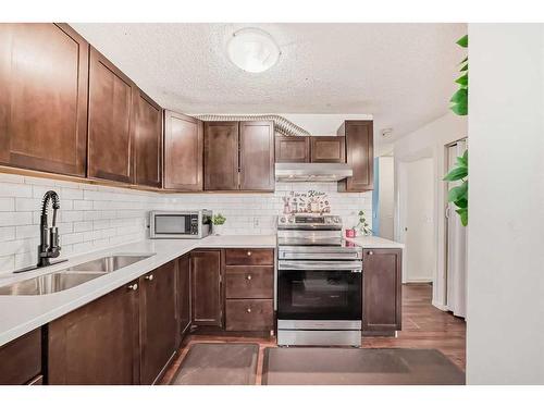 19-4360 58 Street Ne, Calgary, AB - Indoor Photo Showing Kitchen With Double Sink