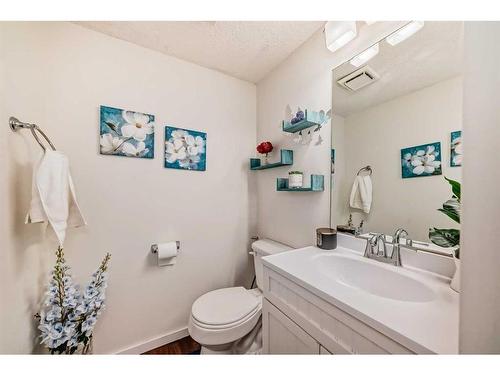 19-4360 58 Street Ne, Calgary, AB - Indoor Photo Showing Bathroom