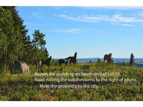 Lot 15 Whiskey Springs Hill West, Rural Foothills County, AB 