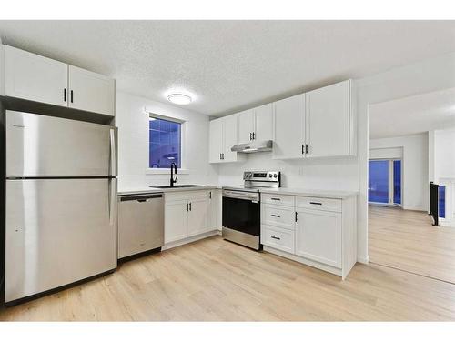 36 Abadan Crescent Ne, Calgary, AB - Indoor Photo Showing Kitchen