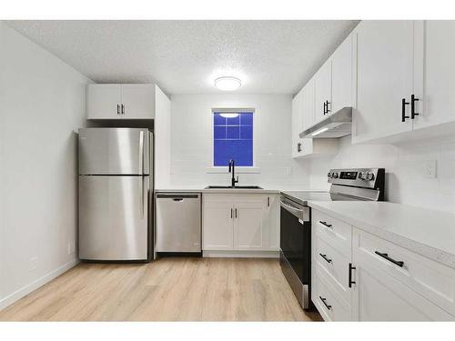 36 Abadan Crescent Ne, Calgary, AB - Indoor Photo Showing Kitchen With Upgraded Kitchen