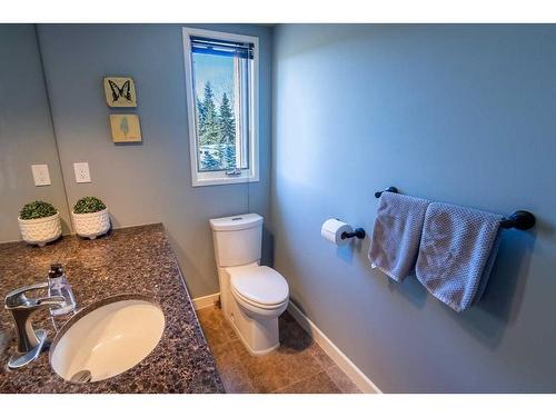 15 Elbow River Circle, Rural Rocky View County, AB - Indoor Photo Showing Bathroom