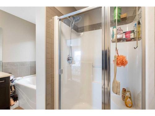 248 Marquis Heights Se, Calgary, AB - Indoor Photo Showing Bathroom