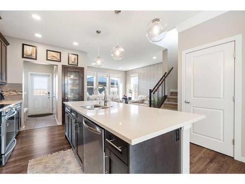 248 Marquis Heights Se, Calgary, AB - Indoor Photo Showing Kitchen With Double Sink With Upgraded Kitchen