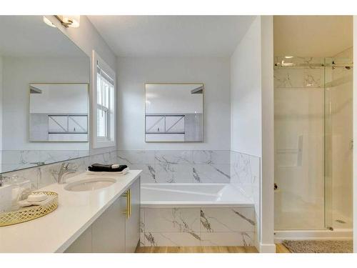 170 Saddlebred Place, Cochrane, AB - Indoor Photo Showing Bathroom