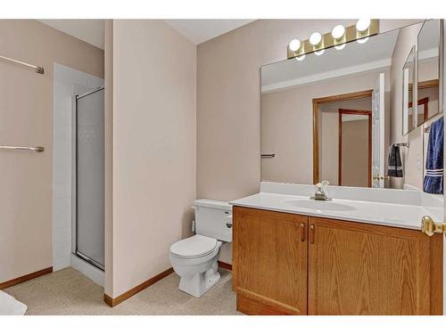 173 Coral Springs Court Ne, Calgary, AB - Indoor Photo Showing Bathroom