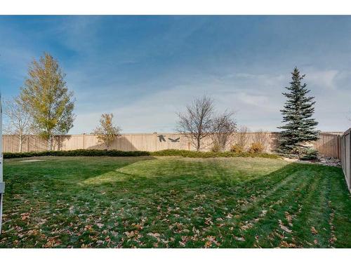 173 Coral Springs Court Ne, Calgary, AB - Outdoor