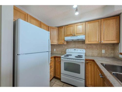 114-92 Saddletree Court Ne, Calgary, AB - Indoor Photo Showing Kitchen With Double Sink