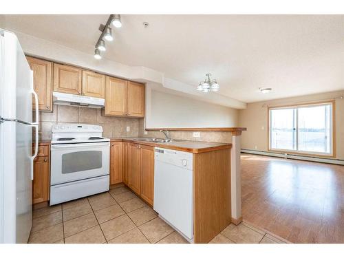 114-92 Saddletree Court Ne, Calgary, AB - Indoor Photo Showing Kitchen With Double Sink