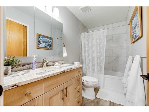 31042 Range Road 281, Rural Mountain View County, AB - Indoor Photo Showing Bathroom