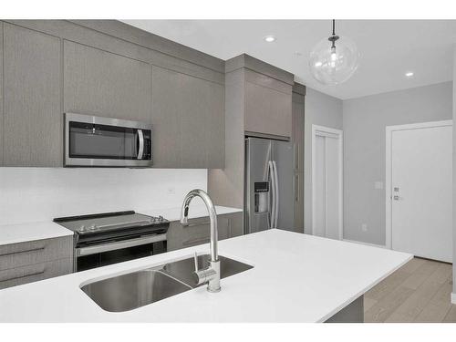 2117-395 Skyview Parkway Ne, Calgary, AB - Indoor Photo Showing Kitchen With Double Sink With Upgraded Kitchen