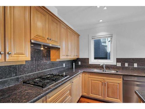 204-1235 Cameron Avenue Sw, Calgary, AB - Indoor Photo Showing Kitchen With Double Sink