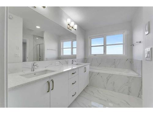 367 Savanna Way Ne, Calgary, AB - Indoor Photo Showing Bathroom