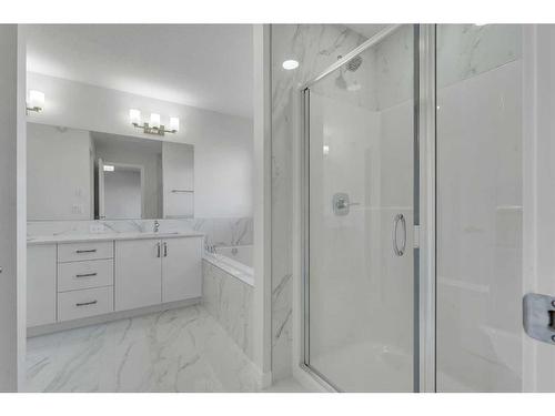 367 Savanna Way Ne, Calgary, AB - Indoor Photo Showing Bathroom