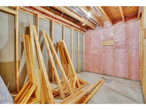 23 Saddlelake Common Ne, Calgary, AB - Indoor Photo Showing Basement