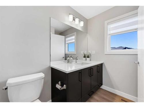 139 Wolf Creek Avenue Se, Calgary, AB - Indoor Photo Showing Bathroom