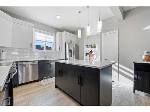 139 Wolf Creek Avenue Se, Calgary, AB - Indoor Photo Showing Kitchen With Stainless Steel Kitchen With Upgraded Kitchen