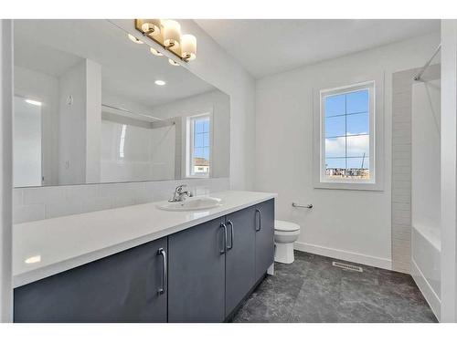 373 Cornerbrook Road Ne, Calgary, AB - Indoor Photo Showing Bathroom