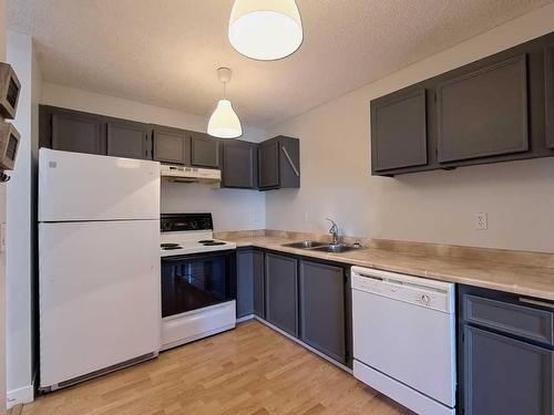 202-1821 17A Street Sw, Calgary, AB - Indoor Photo Showing Kitchen With Double Sink