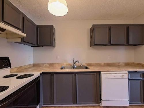 202-1821 17A Street Sw, Calgary, AB - Indoor Photo Showing Kitchen With Double Sink