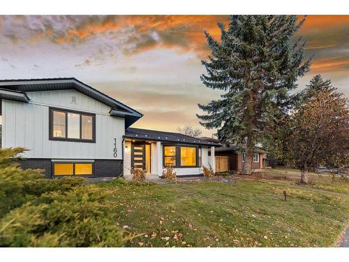 1160 Lake Twintree Drive Se, Calgary, AB - Outdoor